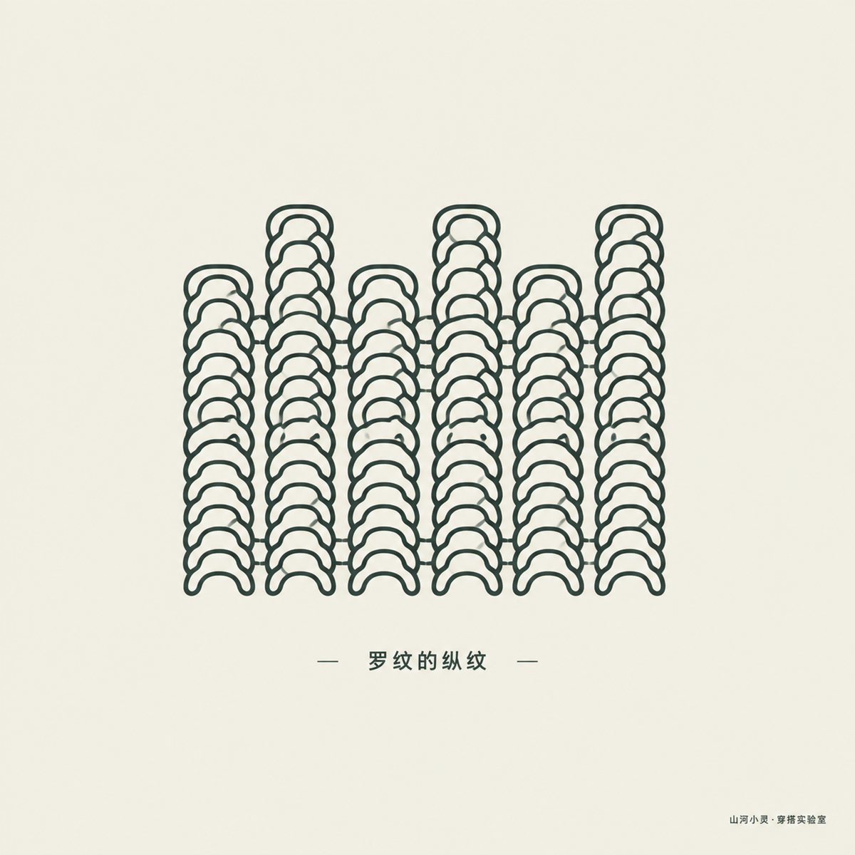 罗纹的纵纹